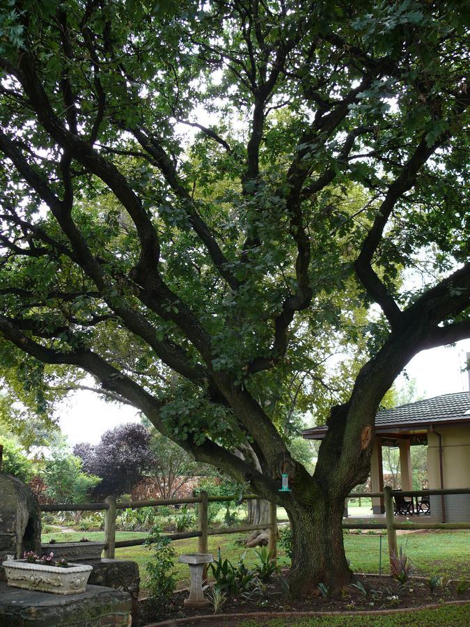 42Onking Bed and Breakfast Centurion Buitenkant foto